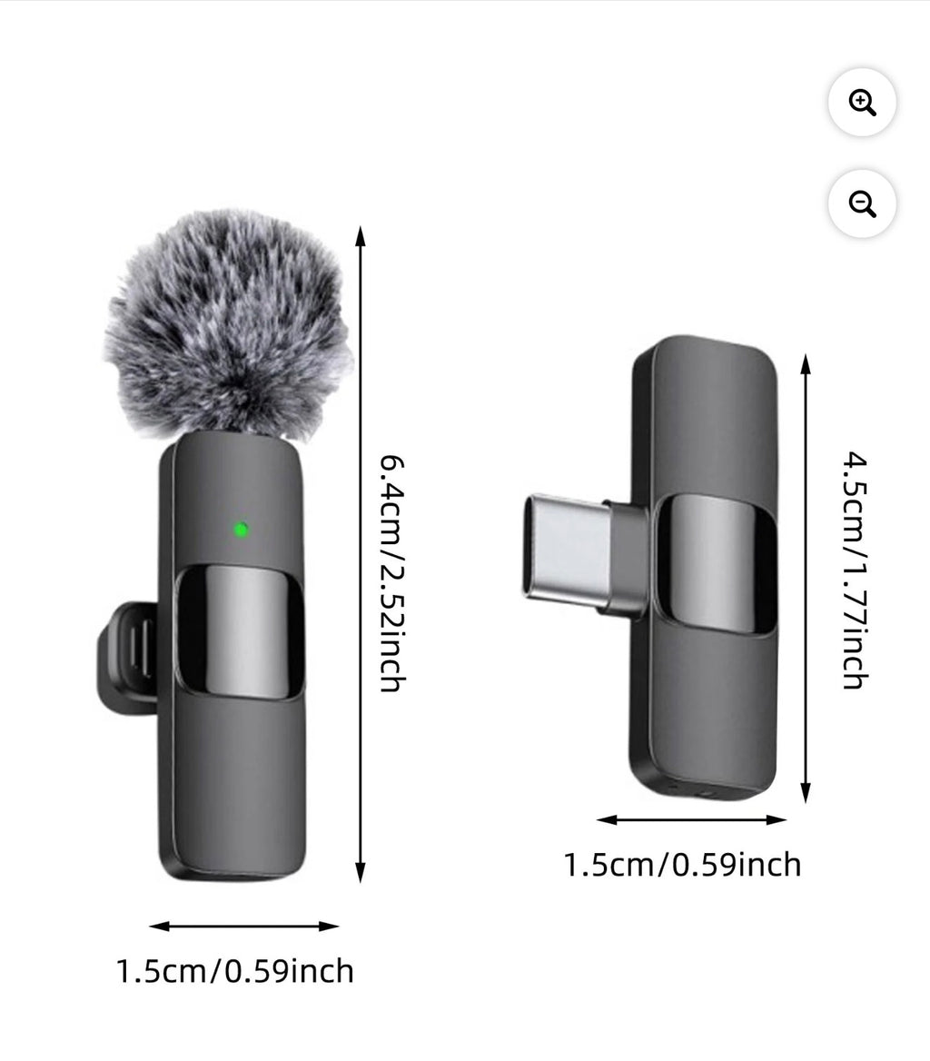 2 Microphone’s type C