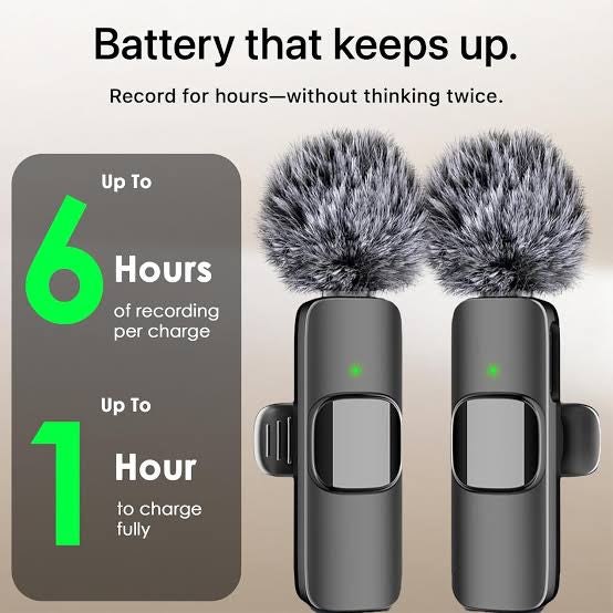 2 Microphone’s type C