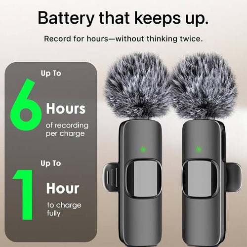 2 Microphone’s type C