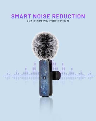 2 Microphone’s type C